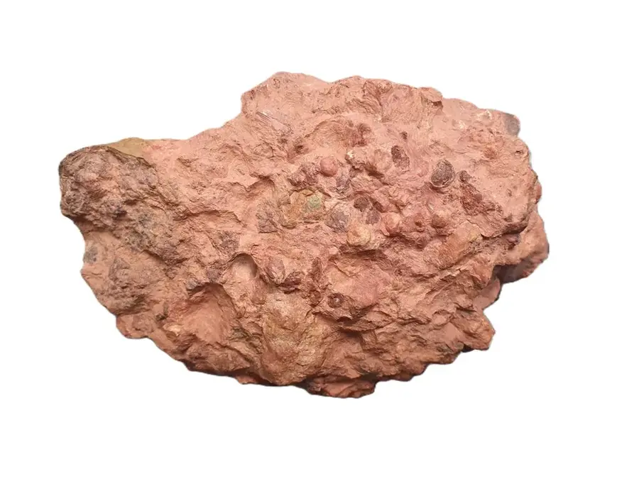 Aluminium von Griechenland — Aigio (Griechenland)