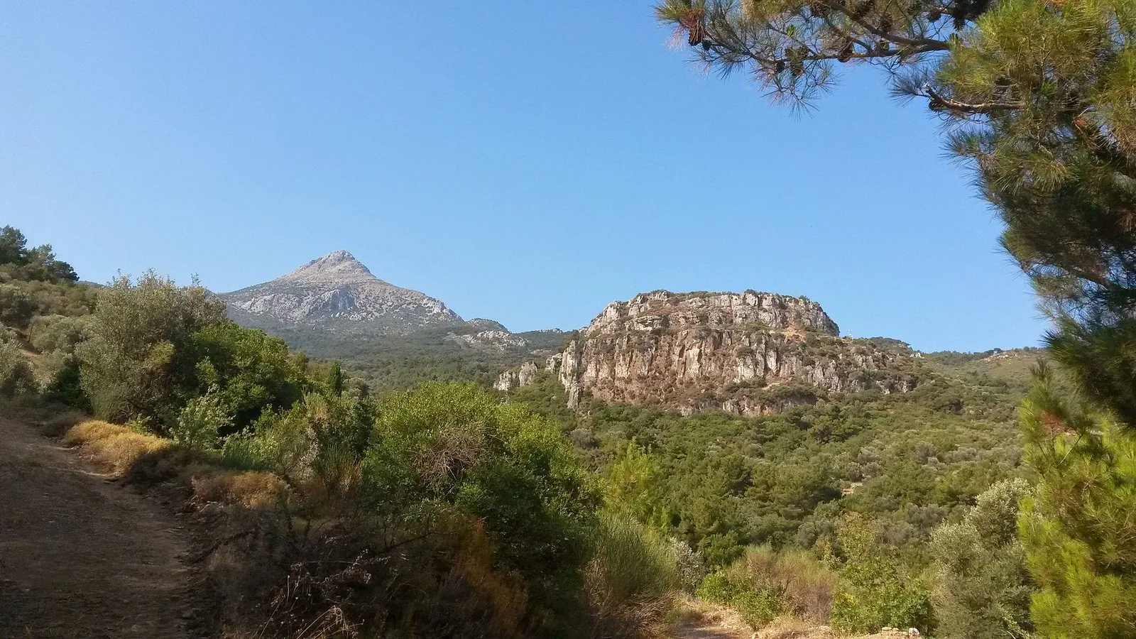 Amades