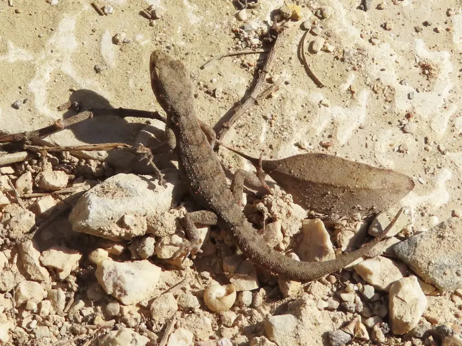 Aperi — Portul Heraklion (Grecia)