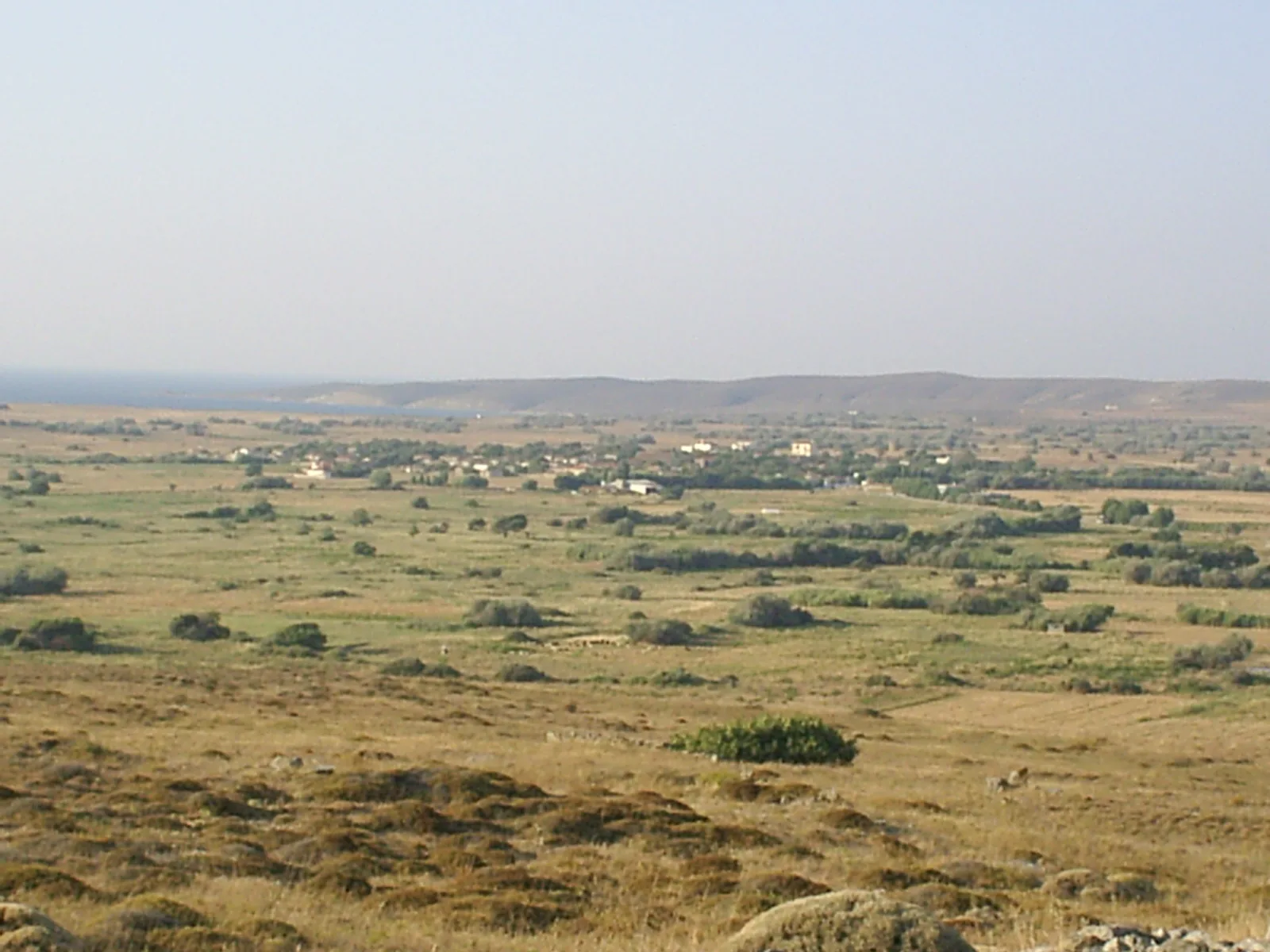 Fisini