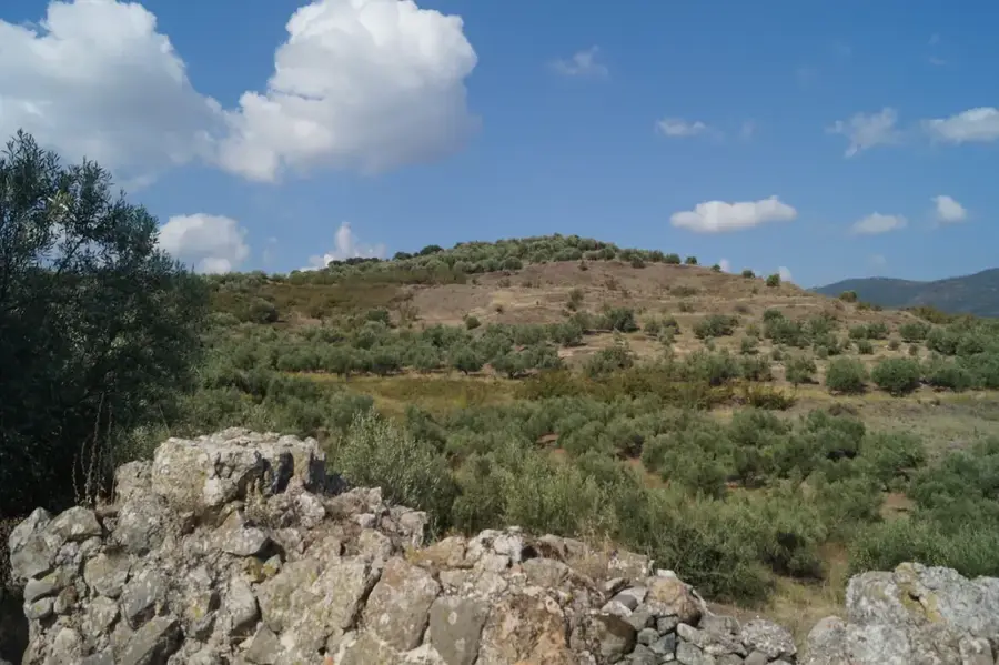 Lacul Koroneia — Polygyros (Grecia)