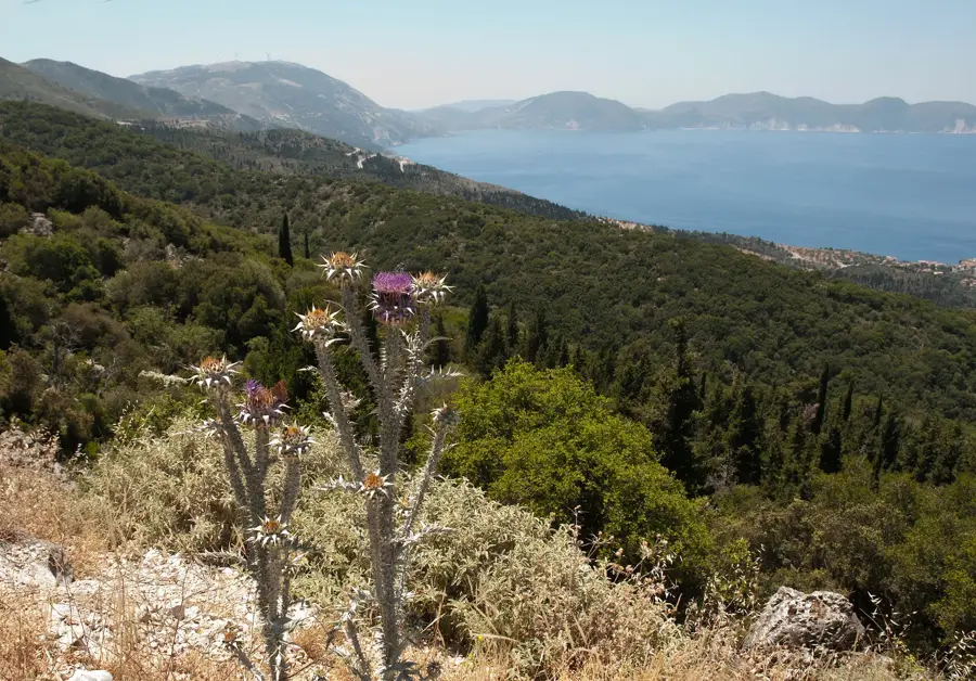 Kourouklata