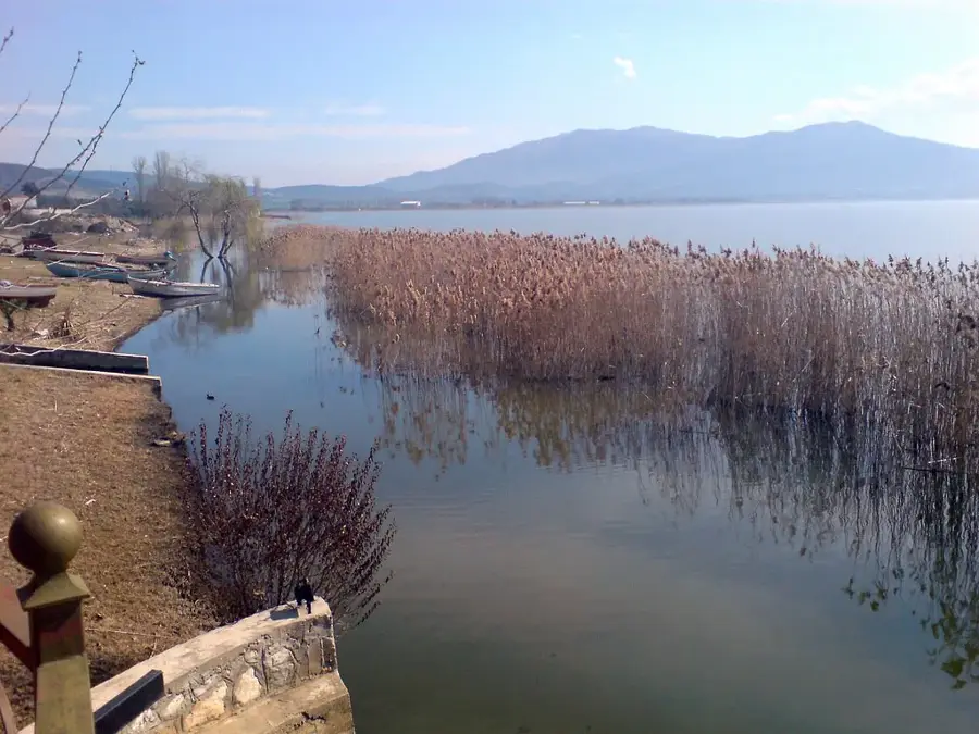 Lacul Volvi — Polygyros (Grecia)
