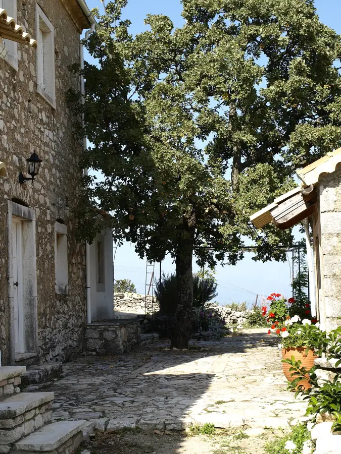 Loutses