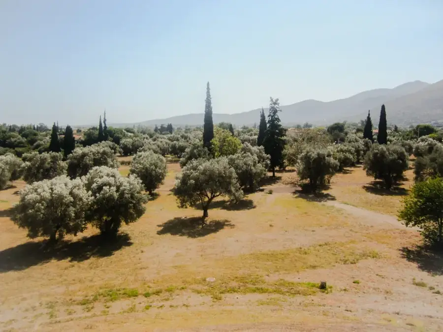 Marathon Battlefield