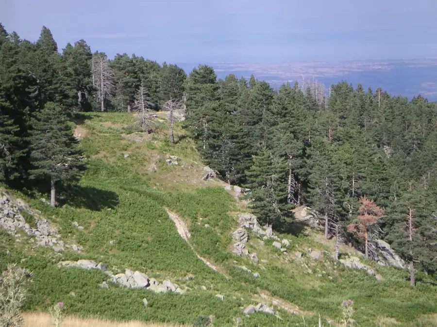 Pieria-hegység