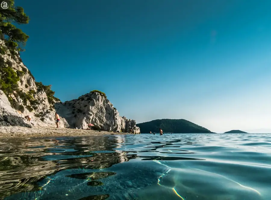 Νέο Κλήμα