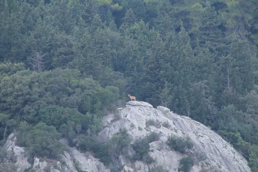 Notos — Igoumenitsa (Greece)