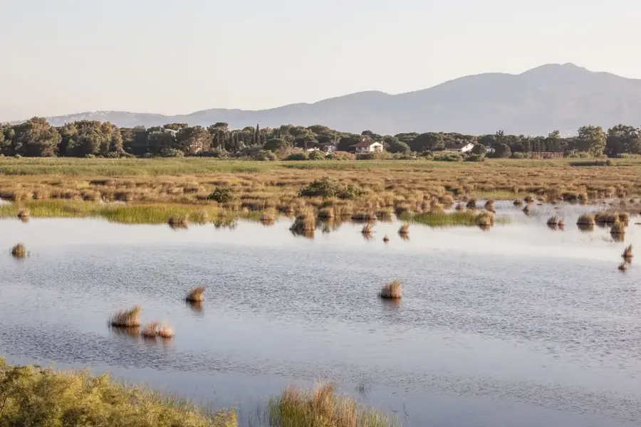 Strofylia-Wald — Pyrgos (Griechenland)