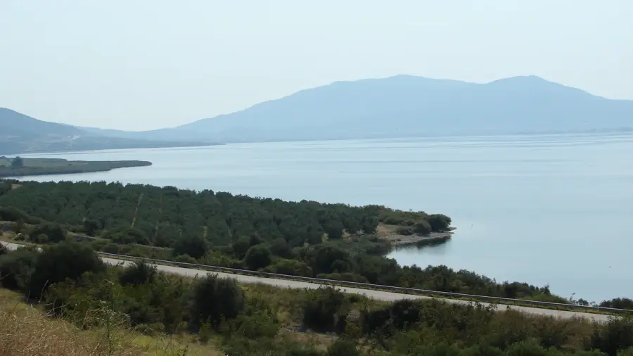 Volvi