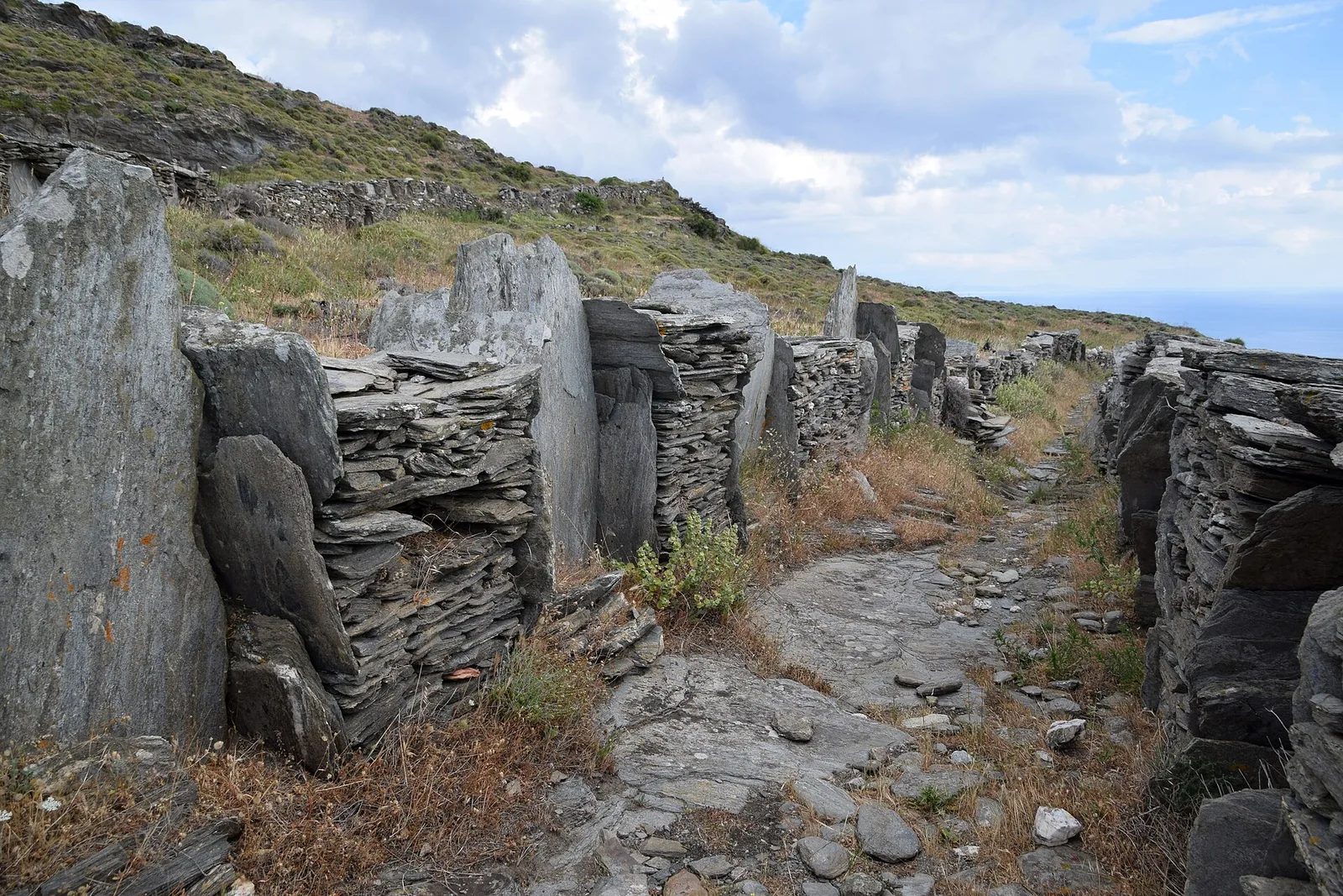 Zaganiaris