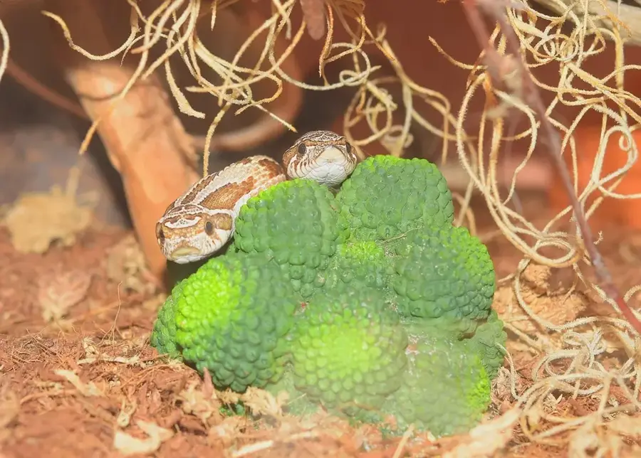 Crochu — Quarantine Point (Grenada)