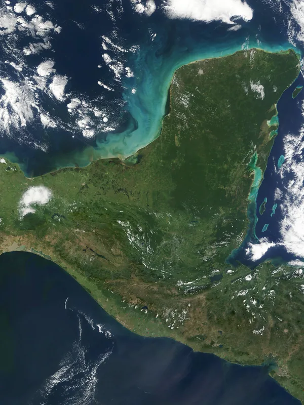 Peten Forest — Tikal (Guatemala)