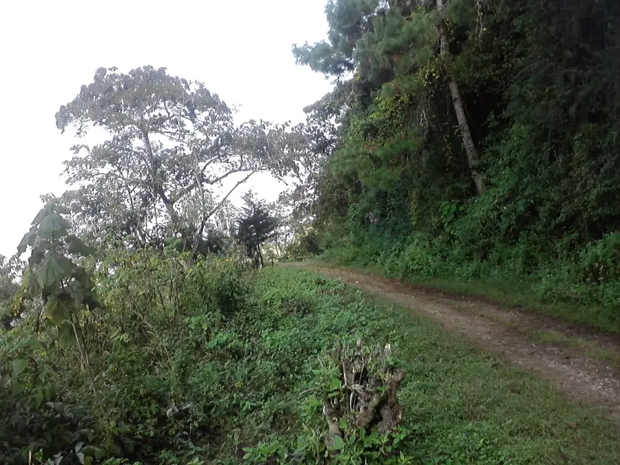 Guatemala Poultry Processing