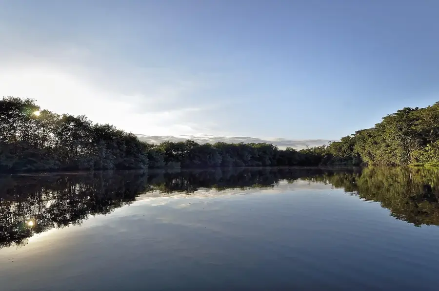 Rio Dulce Manatee Sanctuary — El Estor (Guatemala)