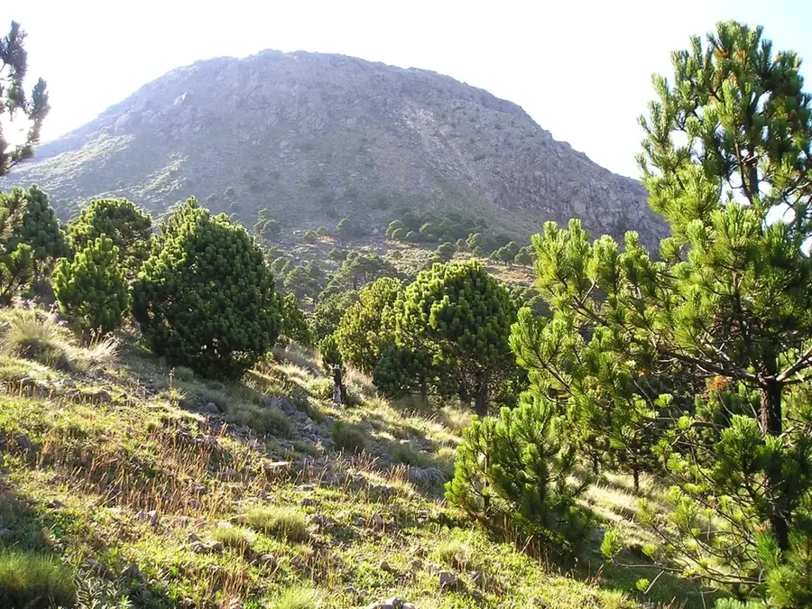 Volcan Tajumulco — Quetzaltenango (Xela) (Guatemala)