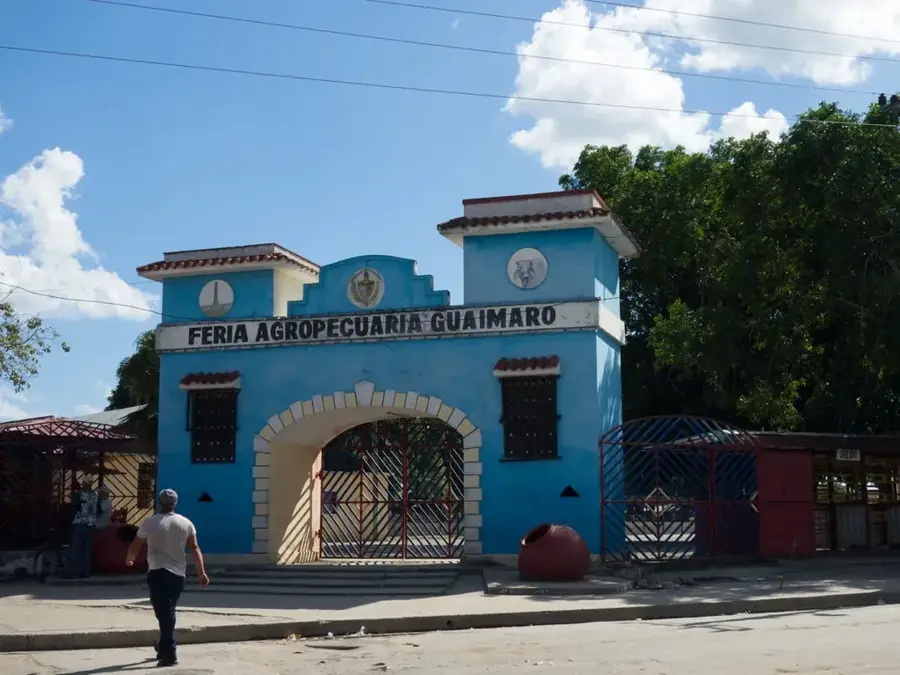 Guáimaro — Pinar Fruit Processing (Cuba)
