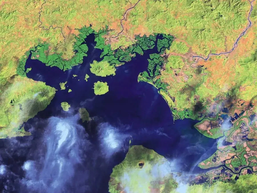 Gulf of Fonseca Mangroves