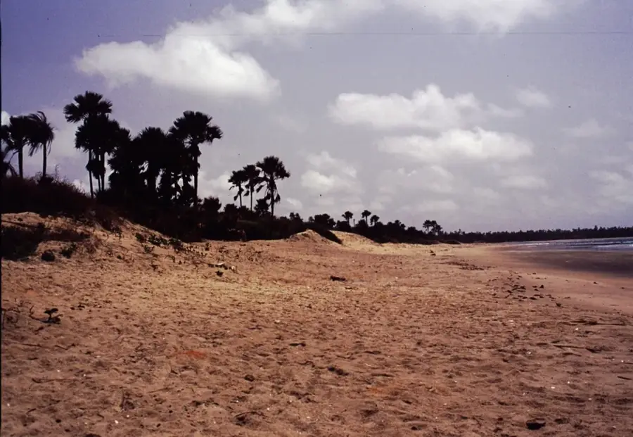 Fabrica de făină de pește din Gunjur — Gunjur (Gambia)