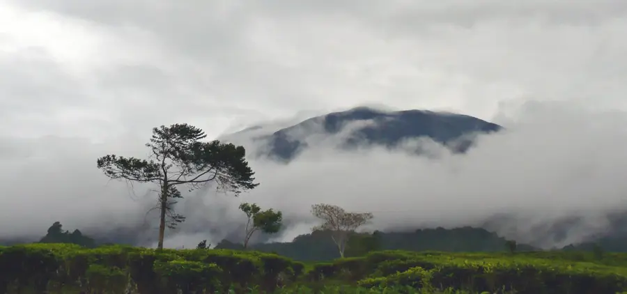 Gunung Gede Pangrango Nemzeti Park — Bogor (Indonézia)