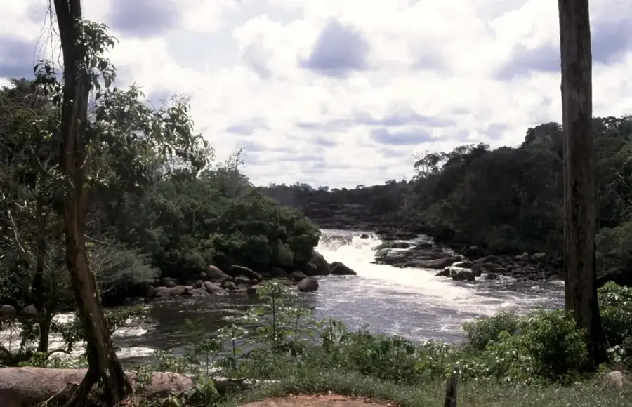 Corentyne River — Skeldon (Guyana)