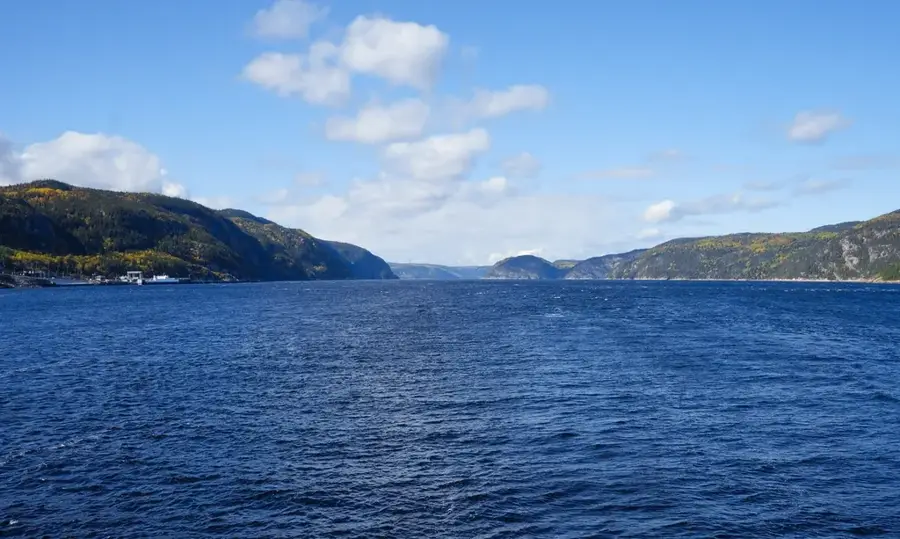 Gwaii Haanas Meeresleben