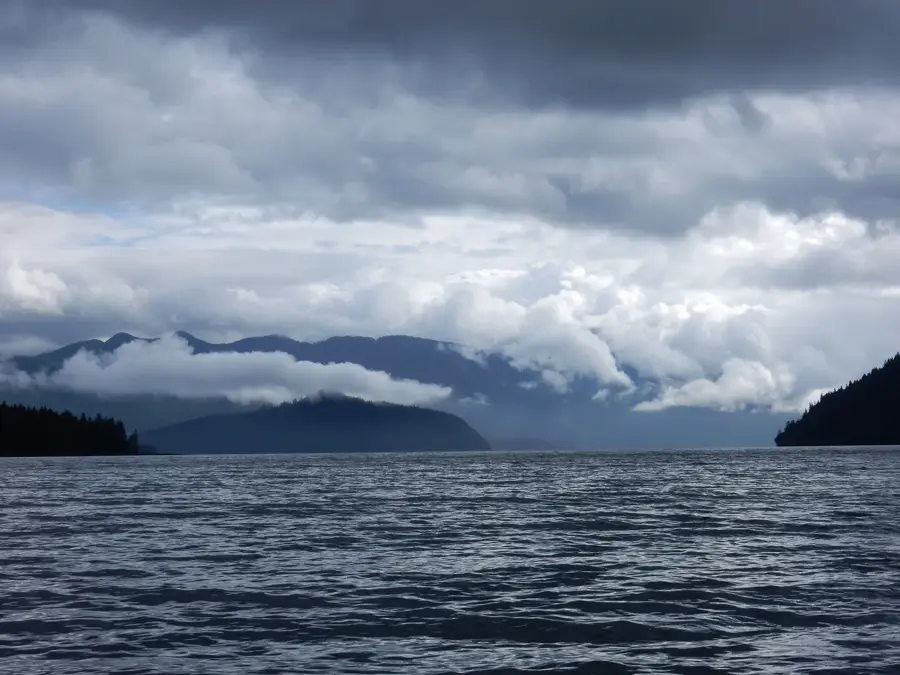 Gwaii Haanas Nationalpark Wald