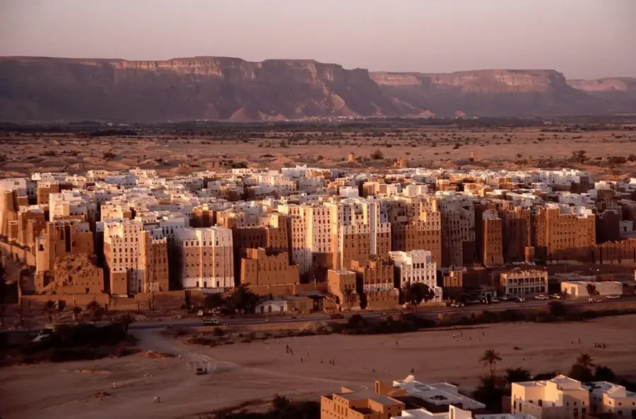Hadhramaut Date Groves
