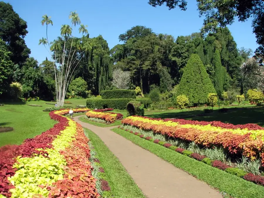 Grădina Botanică Hakgala