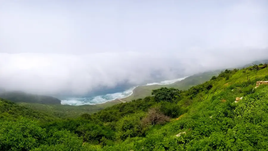 Hawf Protected Area — Port of Nishtun (Yemen)