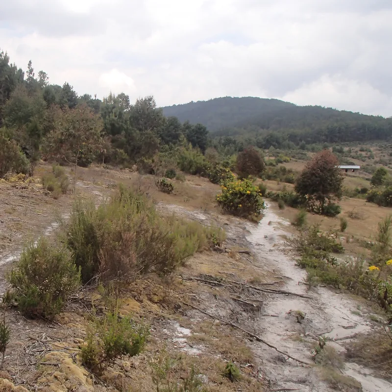 Berg Heha — Monge-Waldreservat (Burundi)