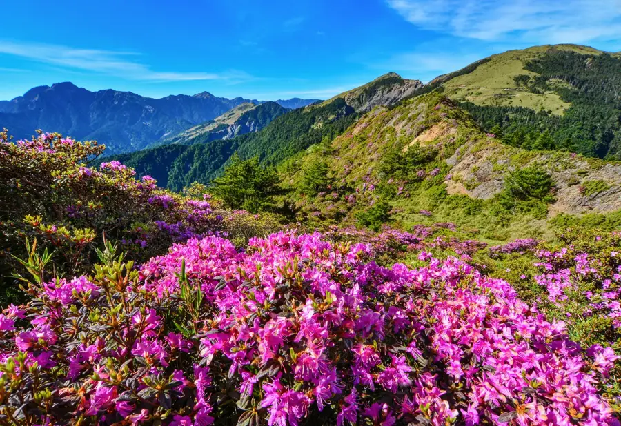 Hehuanshan — Dabajianshan (Taiwan)