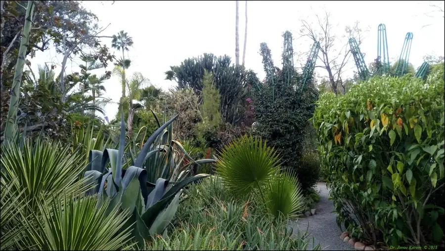 Heller Garden — Fort Smith (Kenia)