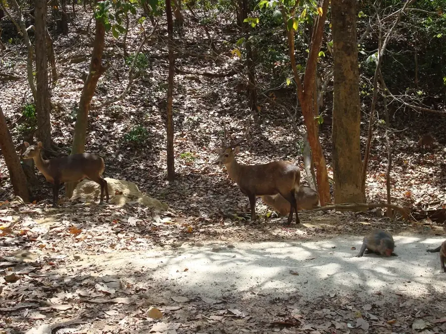 Hlawga-Nationalpark