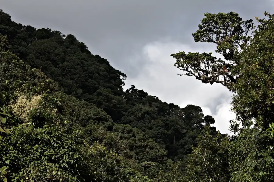 La Tigra National Park — Patuca River (Honduras)