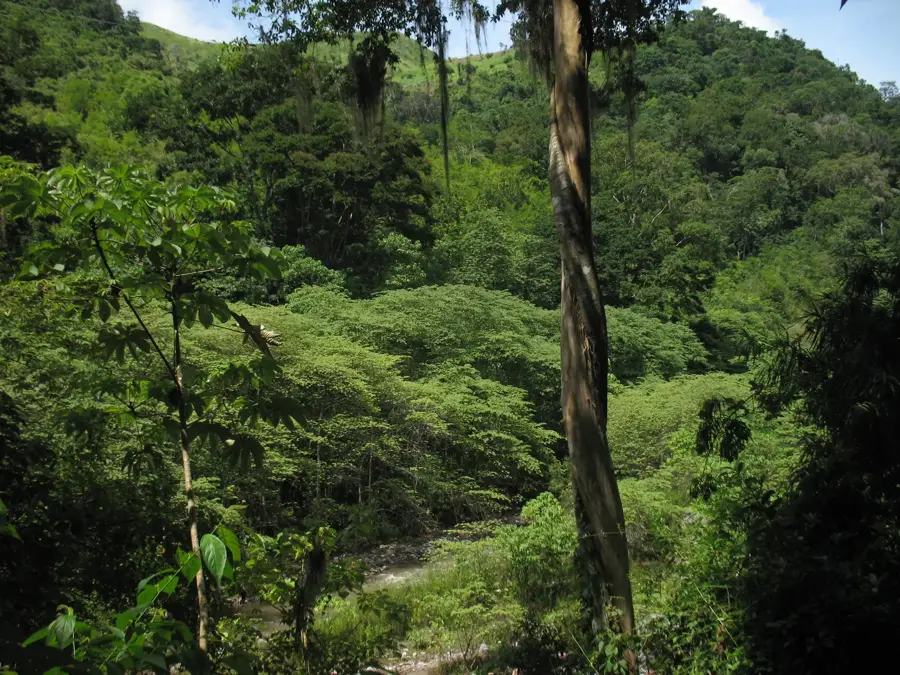 Sierra de Agalta — Guanaja Town (Honduras)