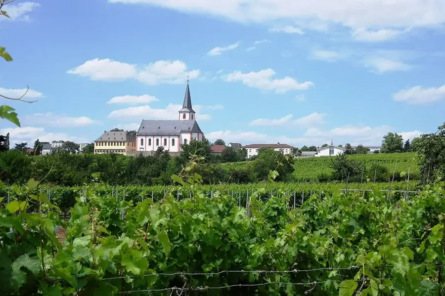 Hochheim am Main – Stadt