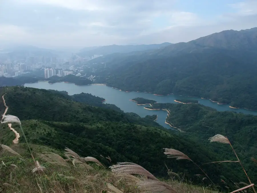 Shing Mun Vidéki Park