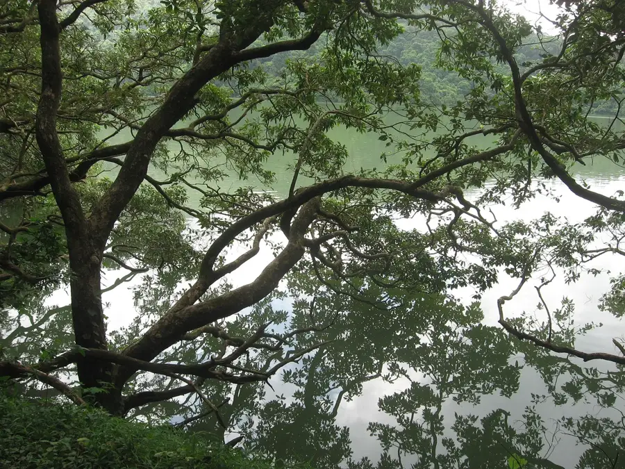 Shing Mun-víztározó