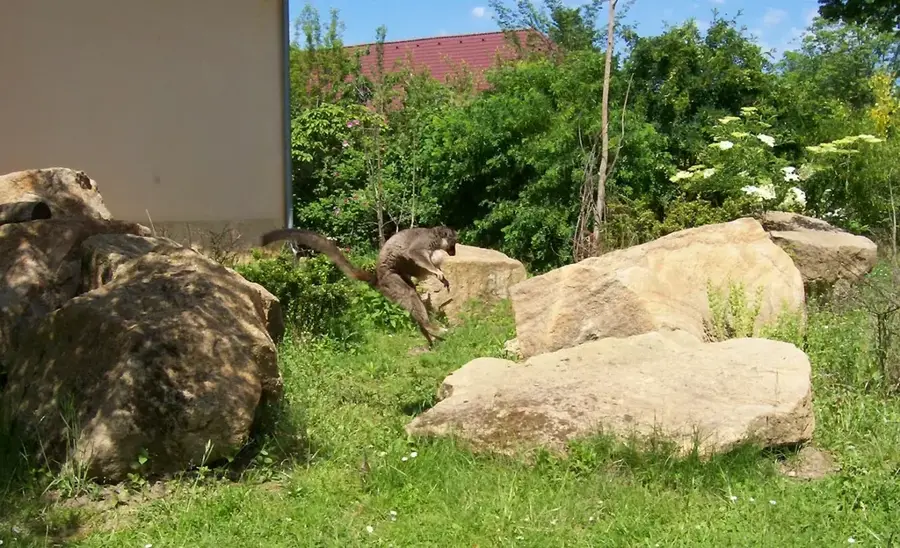 Grădinile Zoologice și Botanice — Templul Man Mo (R.A.S. Hong Kong, China)