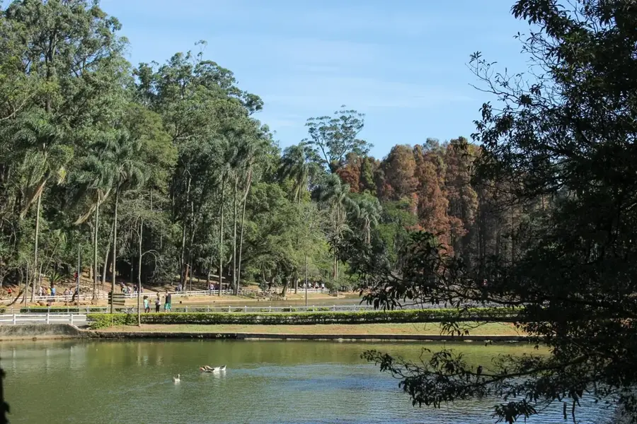 Waldpark Horto Florestal