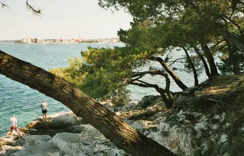 Plava Laguna