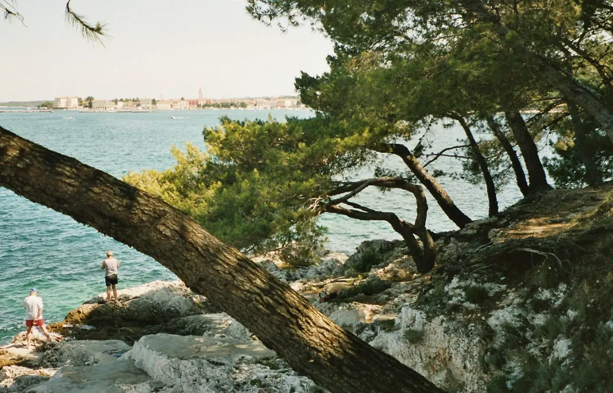 Plava Laguna