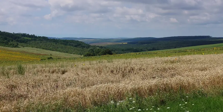 Csereháti-dombság – hegy