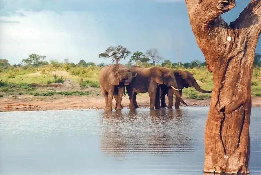 Hwange