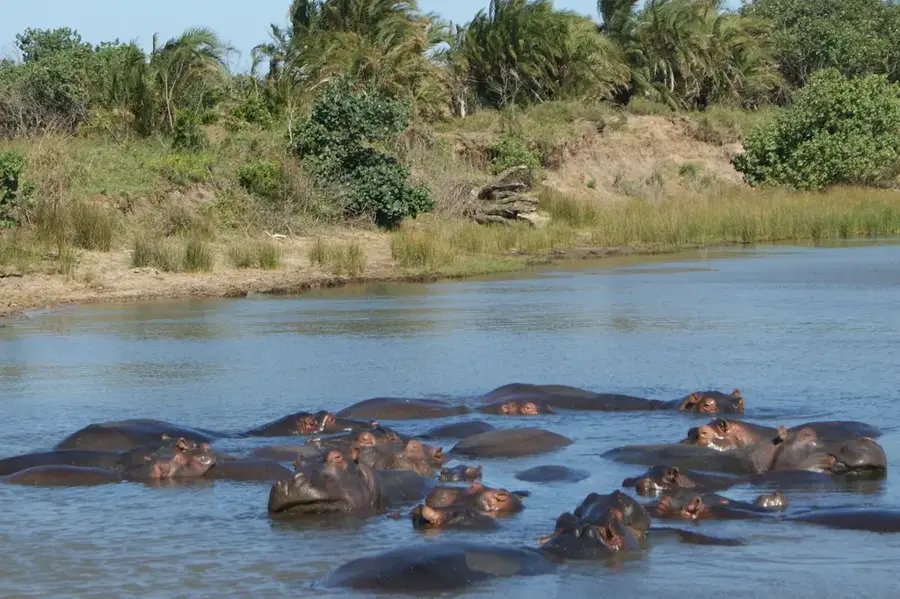 iSimangaliso Wetland Park — Drakensberge (Südafrika)
