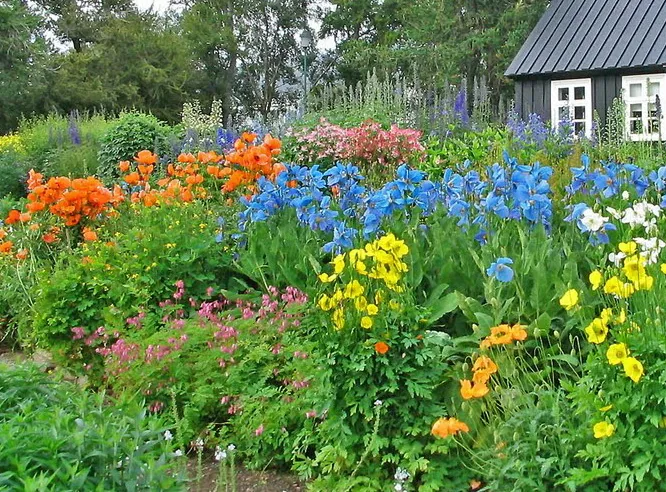 Akureyri Botanical Garden