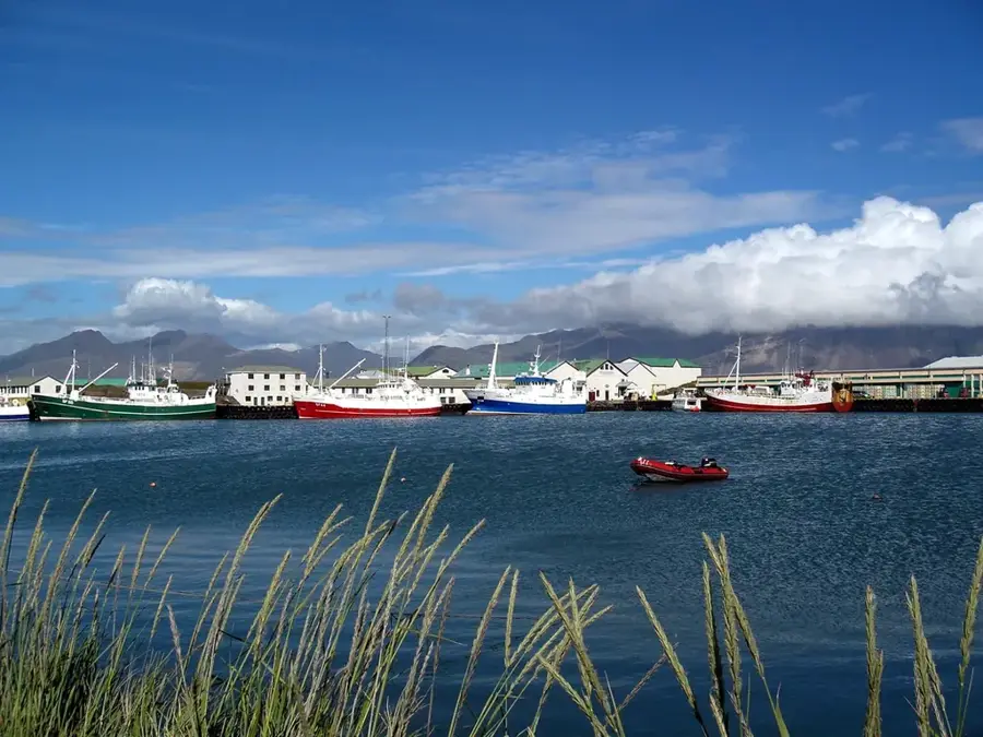 Portul din Höfn — Höfn (Islanda)