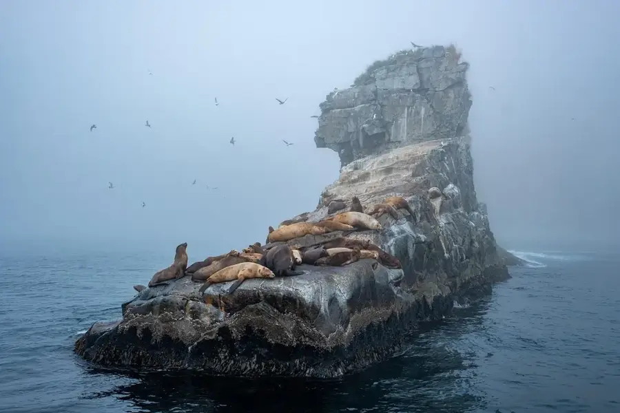 Colonia de foci Húnafjörður — Ferma Glaumbær (Islanda)