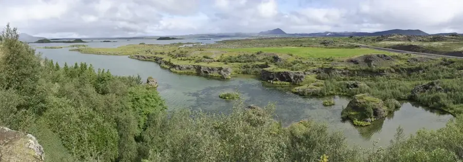 Lake Myvatn Bird Reserve